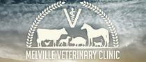 Melville Veterinary Clinic